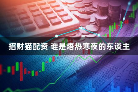 招财猫配资 谁是焐热寒夜的东谈主