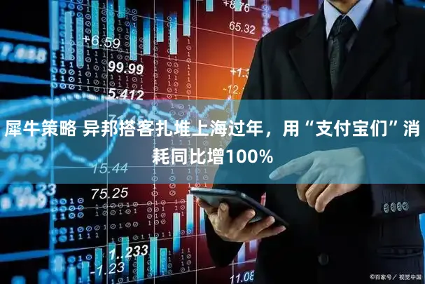 犀牛策略 异邦搭客扎堆上海过年，用“支付宝们”消耗同比增100%