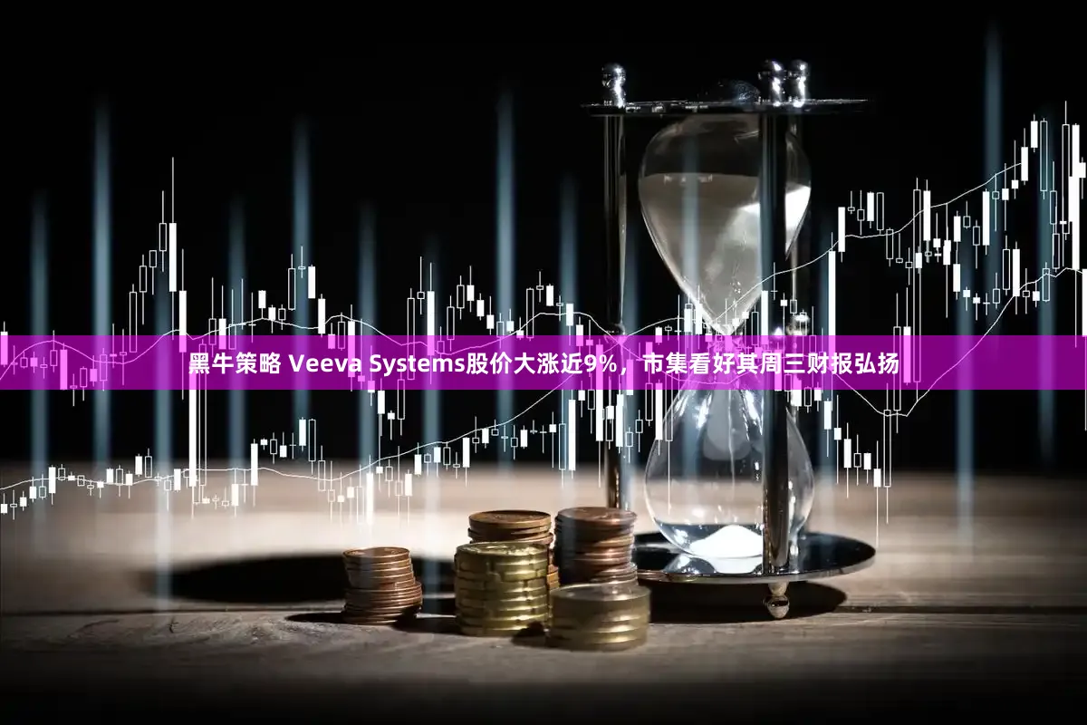 黑牛策略 Veeva Systems股价大涨近9%，市集看好其周三财报弘扬