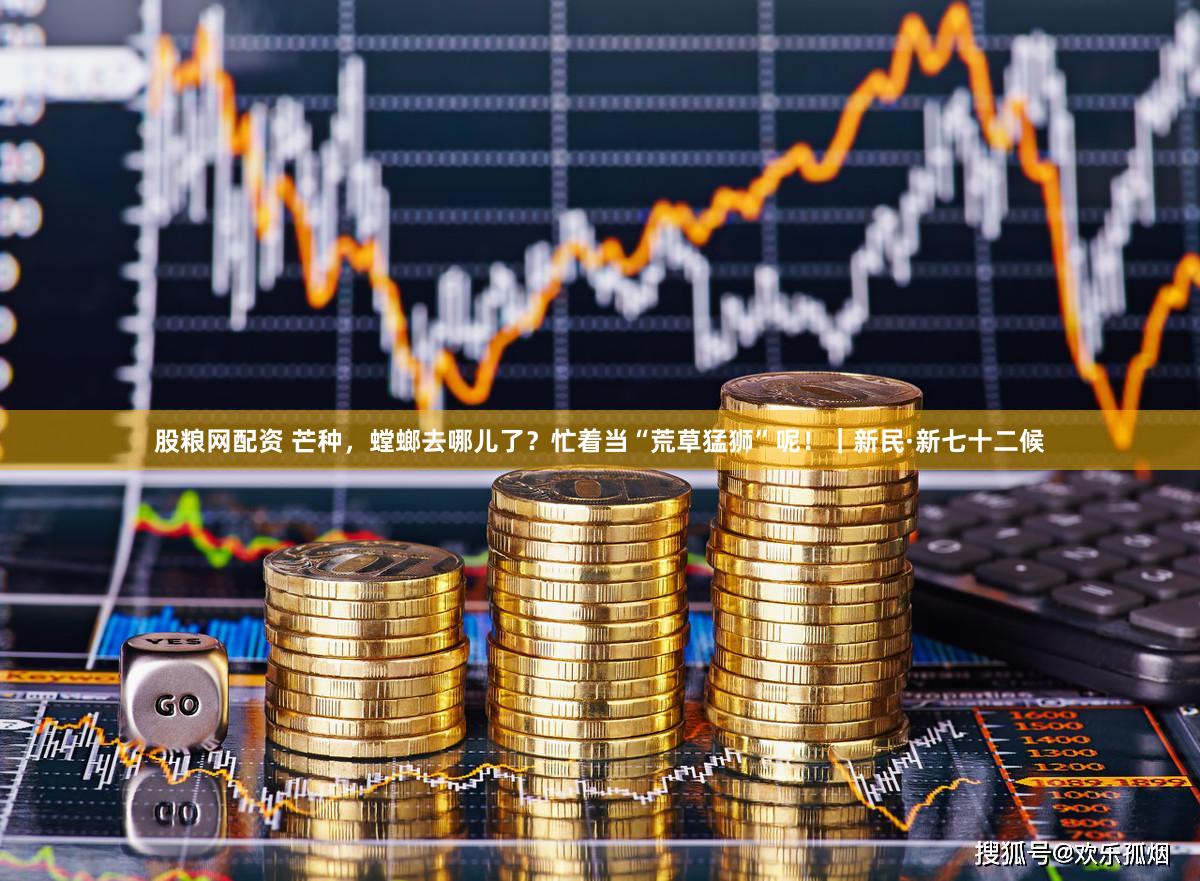 股粮网配资 芒种，螳螂去哪儿了？忙着当“荒草猛狮”呢！｜新民·新七十二候