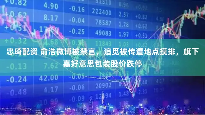 忠琦配资 俞浩微博被禁言，追觅被传遭地点摸排，旗下嘉好意思包装股价跌停
