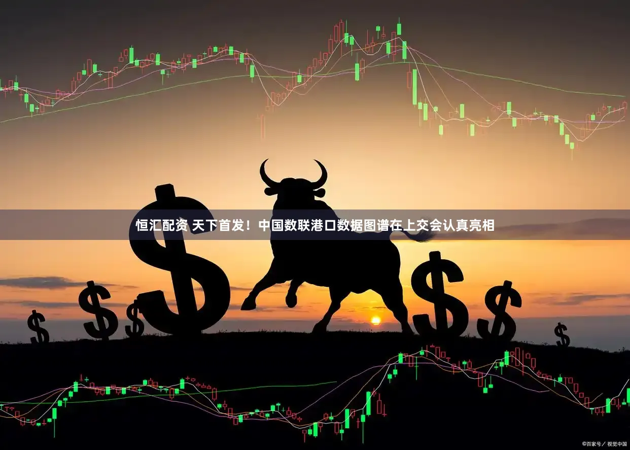 恒汇配资 天下首发！中国数联港口数据图谱在上交会认真亮相