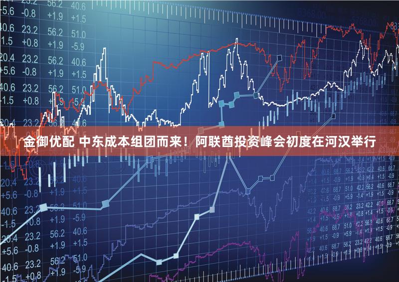 金御优配 中东成本组团而来！阿联酋投资峰会初度在河汉举行