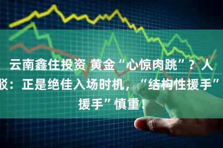 云南鑫住投资 黄金“心惊肉跳”？人人反驳：正是绝佳入场时机，“结构性援手”慎重！